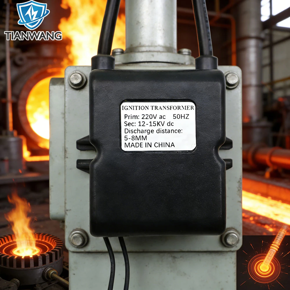 Industrial Ignition Transformer TW-G-CY-220V Industrial Ignition Transformer TW-G-CY-220V