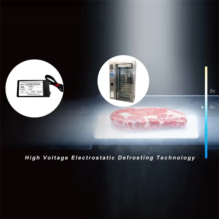 High Voltage Electrostatic Defrosting Technology For Thawing Cabinet