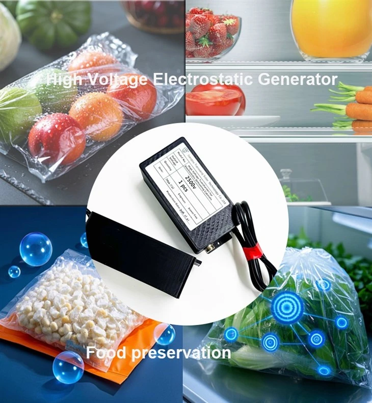 high voltage electrostatic generator for food preservation